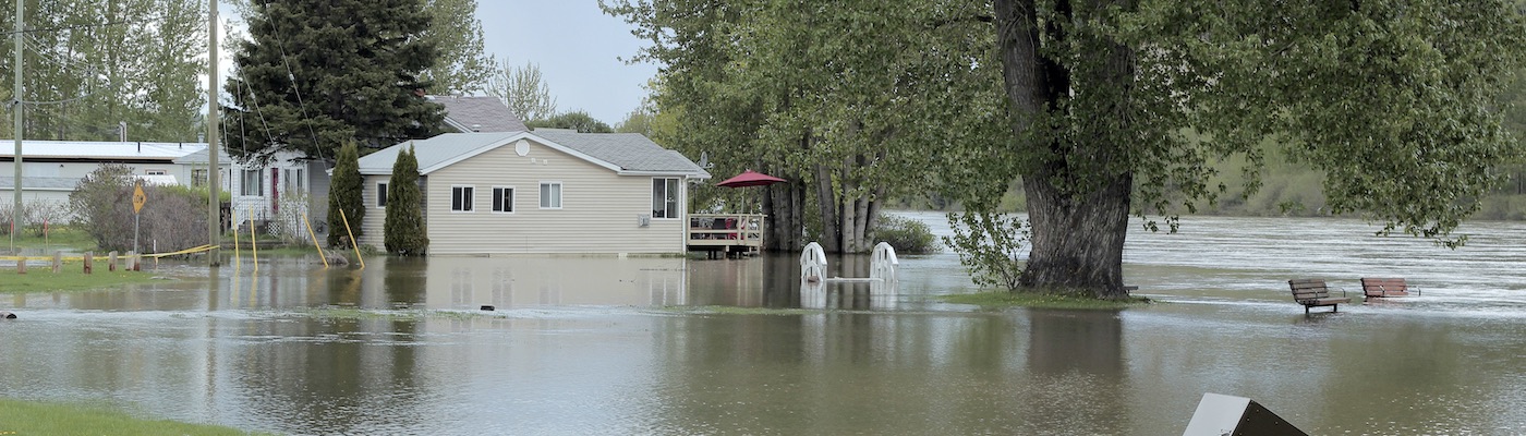 洪水与你的健康